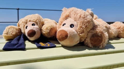 Durch den Sommer mit dem Voki-Bären