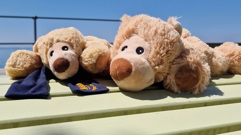 Durch den Sommer mit dem Voki-Bären Durch den Sommer mit dem Voki-Bären