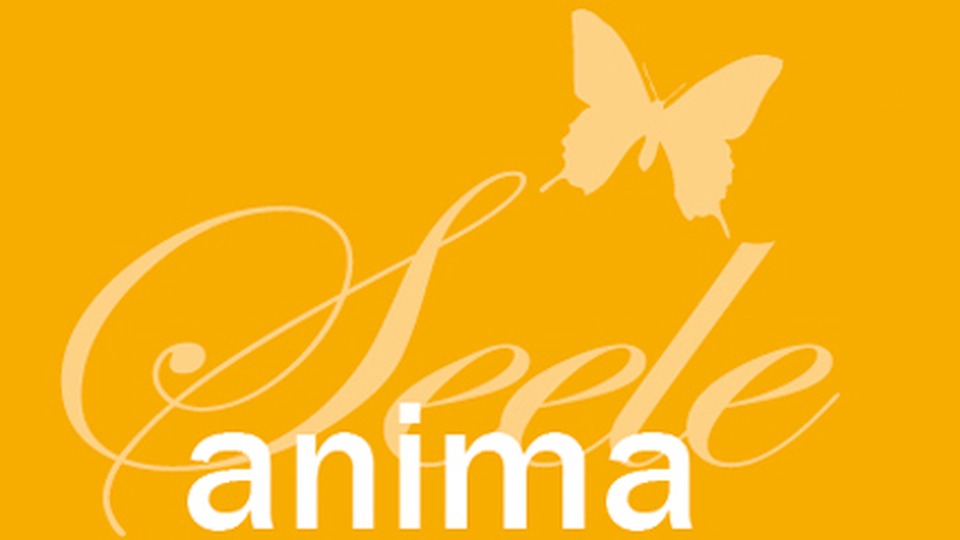 14/10/2017 – Pychotherapie-Messe „anima“ 14/10/2017 – Pychotherapie-Messe „anima“