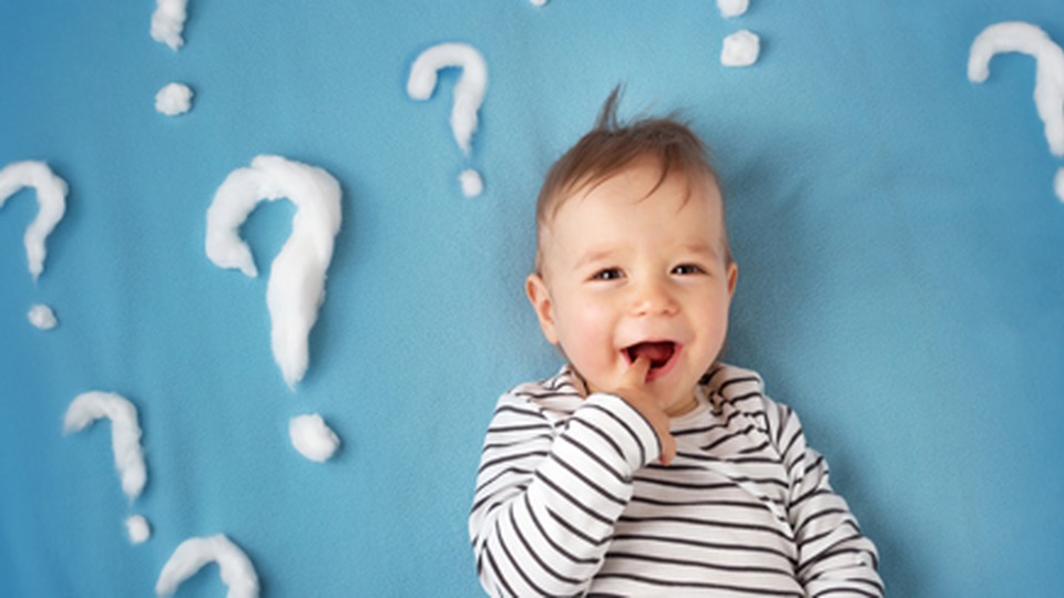 17/11/2018 – Dornbirn sucht FamilienlotsInnen 17/11/2018 – Dornbirn sucht FamilienlotsInnen