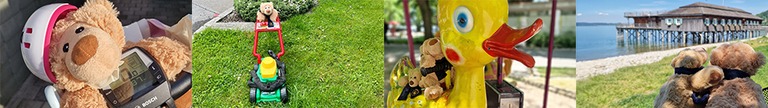 voki-bär-fotokollage.jpg