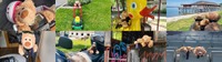 voki-bär-fotokollage2.jpg
