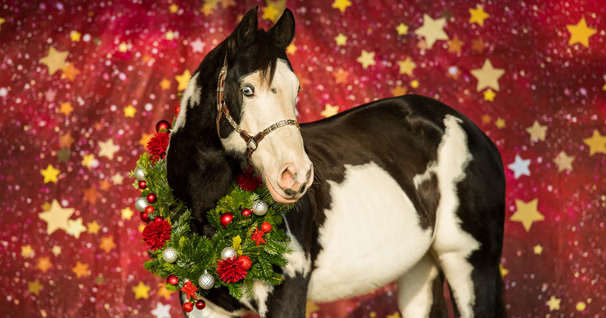 weihnachtsshooting_hoferstall_03.jpg