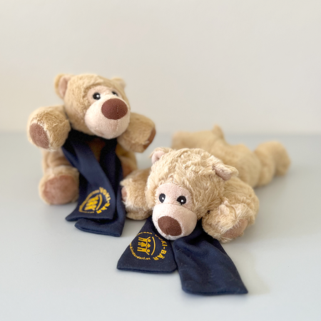 Voki-Bär klein Voki-Bär klein